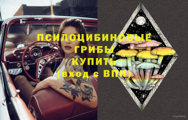 твердый Нязепетровск