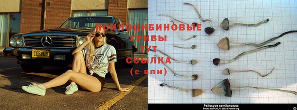 твердый Беломорск